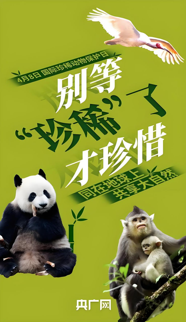 悬疑